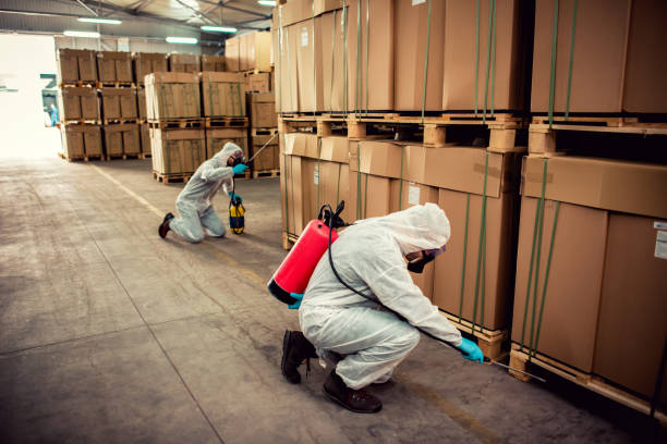 Best Mosquito Control Services  in Bemidji, MN
