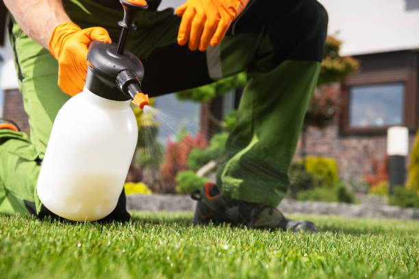 Best Best Pest Control Companies  in Bemidji, MN