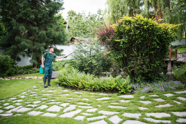 Best Commercial Pest Control Services  in Bemidji, MN