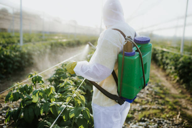 Best Pest Control Near Me  in Bemidji, MN